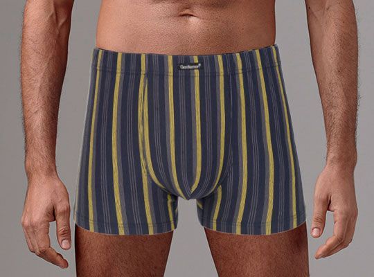 трусы мужские gs7868 шорты от магазина «Зона Белья»