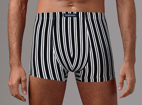 трусы мужские gs5002 шорты от магазина «Зона Белья»