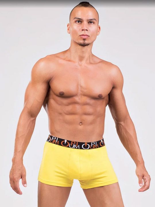 трусы мужские r117 боксеры от магазина «Зона Белья»