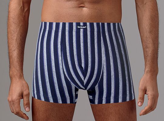 трусы мужские gs5016 шорты от магазина «Зона Белья»