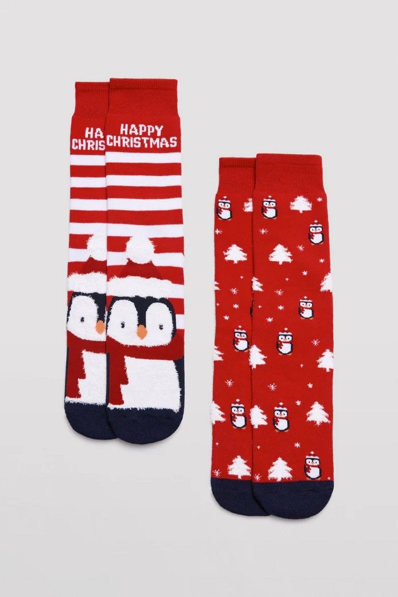 22173 носки мужские 2 пары в упаковке от магазина «Зона Белья»