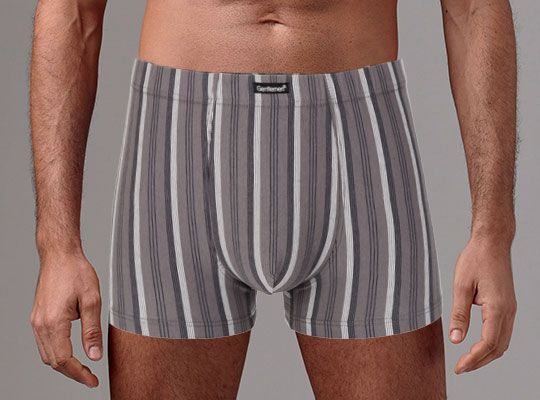 трусы мужские gs7868 шорты от магазина «Зона Белья»