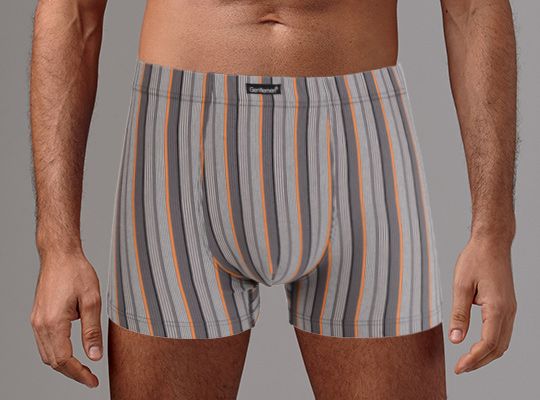 трусы мужские gs7866 шорты от магазина «Зона Белья»