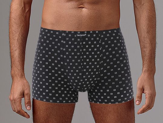 трусы мужские gs028 шорты от магазина «Зона Белья»