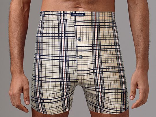 трусы мужские gb7707 боксеры от магазина «Зона Белья»