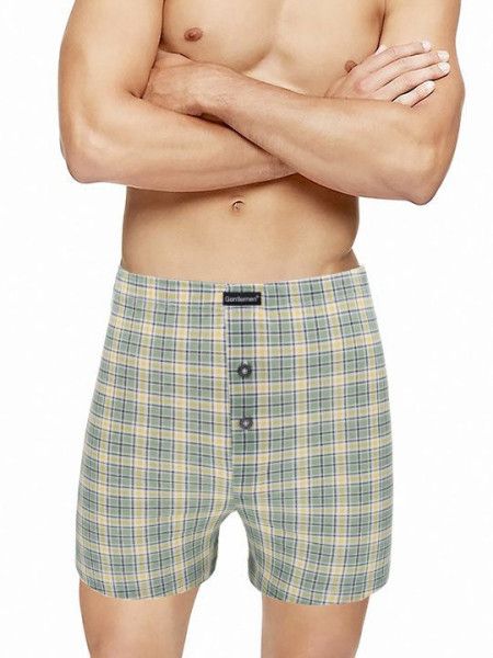 трусы мужские gb7964 боксеры от магазина «Зона Белья»