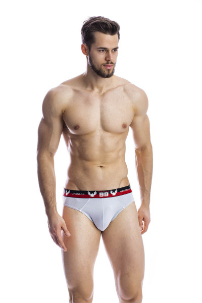 мужские трусы pb07 серый от магазина «Зона Белья»