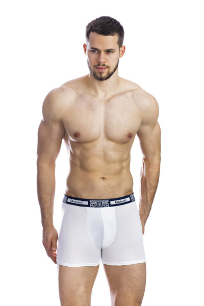 мужские трусы bb32 белый от магазина «Зона Белья»