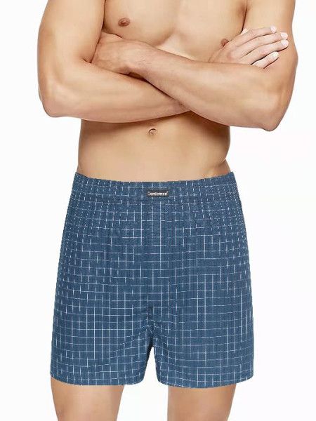 трусы мужские gb7974 боксеры от магазина «Зона Белья»