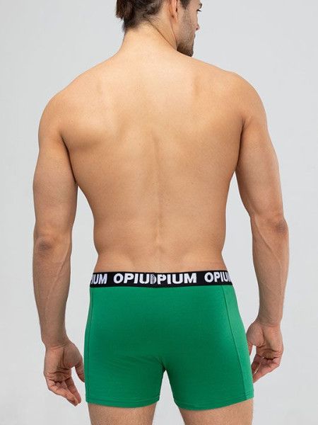 трусы мужские r152 боксеры от магазина «Зона Белья»