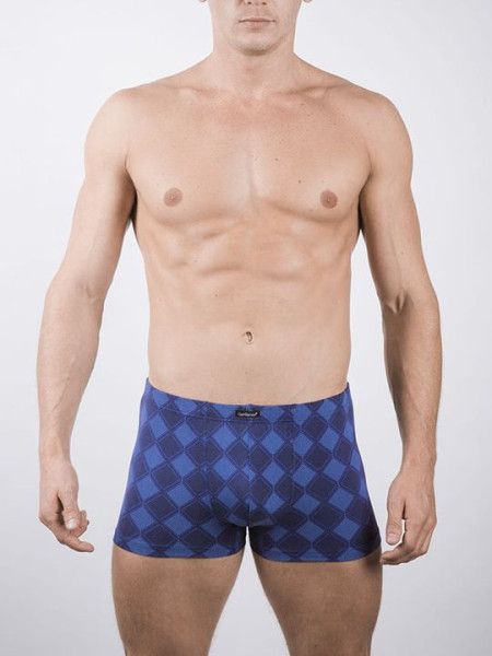 трусы мужские gs7736 шорты от магазина «Зона Белья»