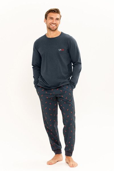 Мужская пижама 25W Eric 3312-3313-01