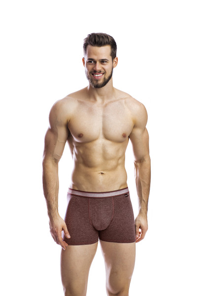 мужские трусы bb99 коричневый от магазина «Зона Белья»