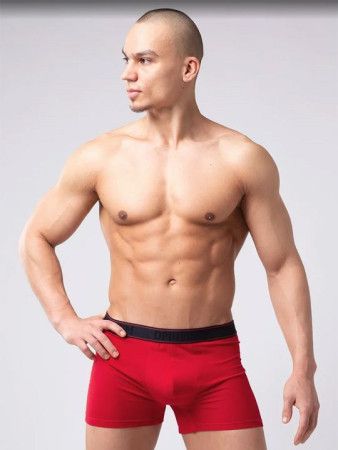 трусы мужские r127 боксеры от магазина «Зона Белья»