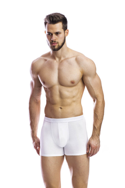 мужские трусы bb08 белый от магазина «Зона Белья»