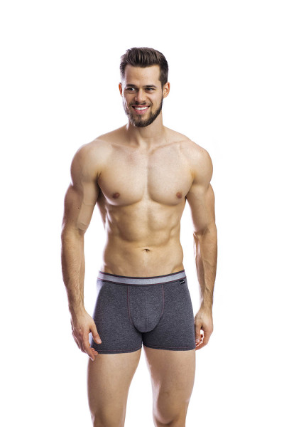 мужские трусы bb99 меланж серый от магазина «Зона Белья»