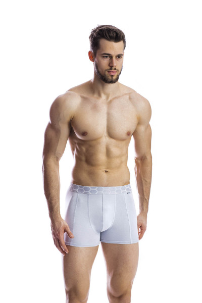 мужские трусы bb116 серый от магазина «Зона Белья»