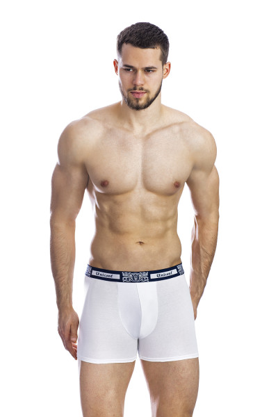 мужские трусы bb32 белый-темно-синий-серый от магазина «Зона Белья»