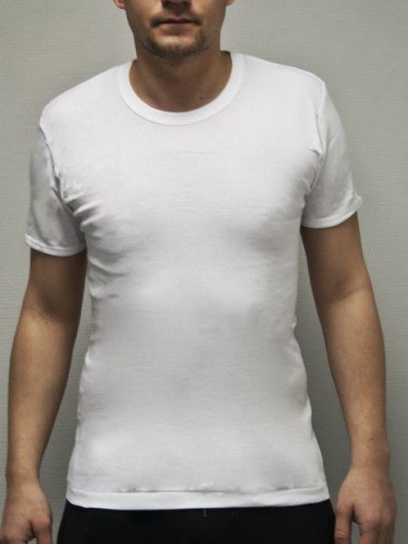 футболка мужская gt005 от магазина «Зона Белья»