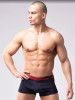 трусы мужские r125 боксеры от магазина «Зона Белья»