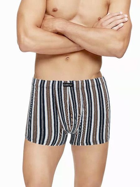 трусы мужские gs7916 шорты от магазина «Зона Белья»