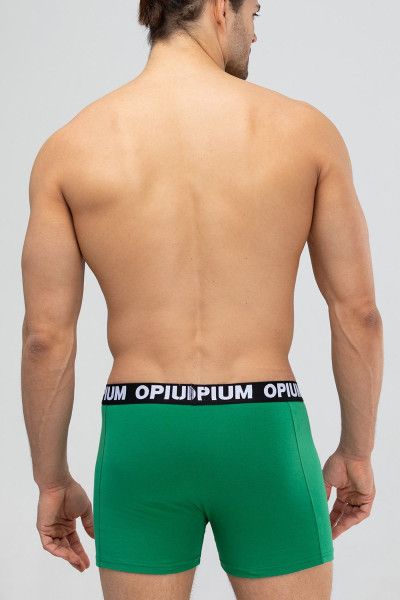 мужские трусы r-152 green от магазина «Зона Белья»