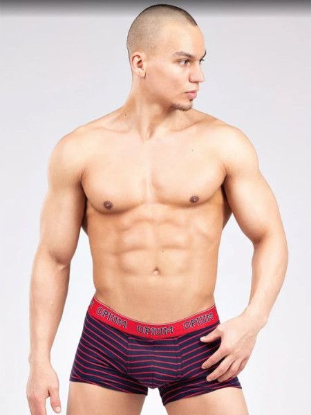 трусы мужские r123 боксеры от магазина «Зона Белья»