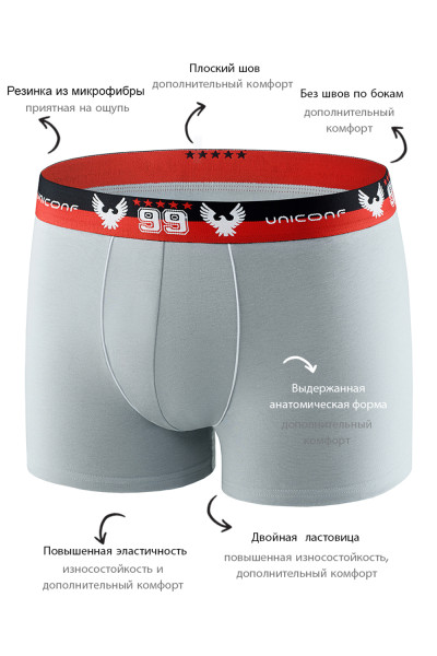 мужские трусы bb12 серый от магазина «Зона Белья»