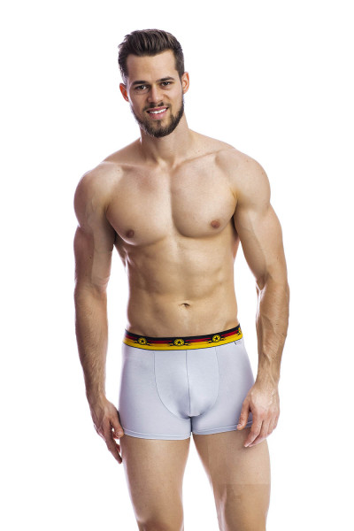 мужские трусы bb33 серый от магазина «Зона Белья»